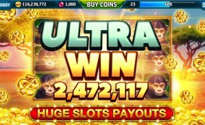 hubet8888